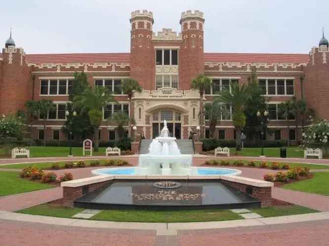 University of South Florida