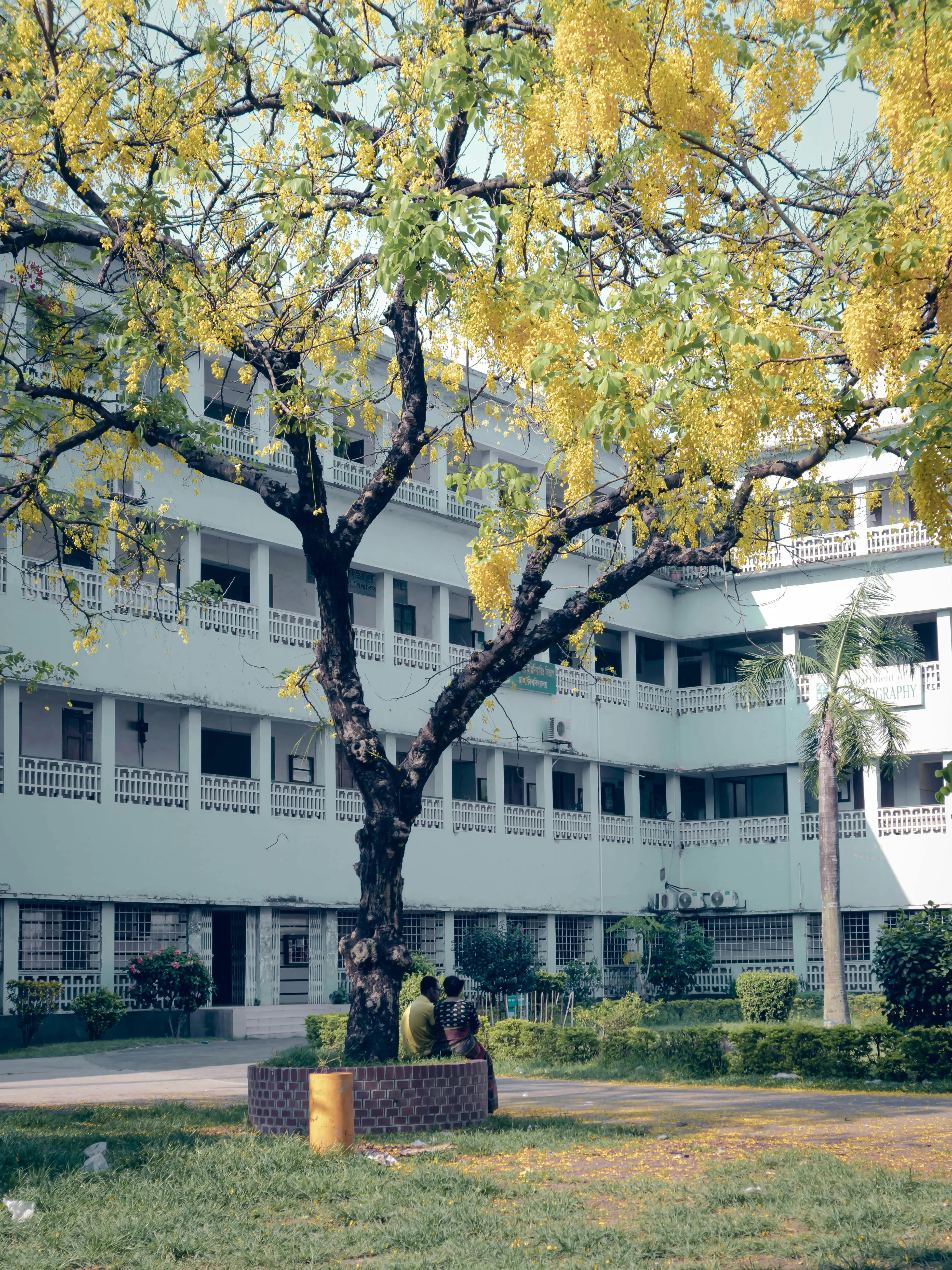Student 15